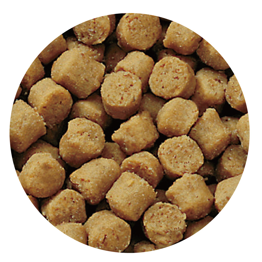 スタイルズ<br>チワワ用　600g