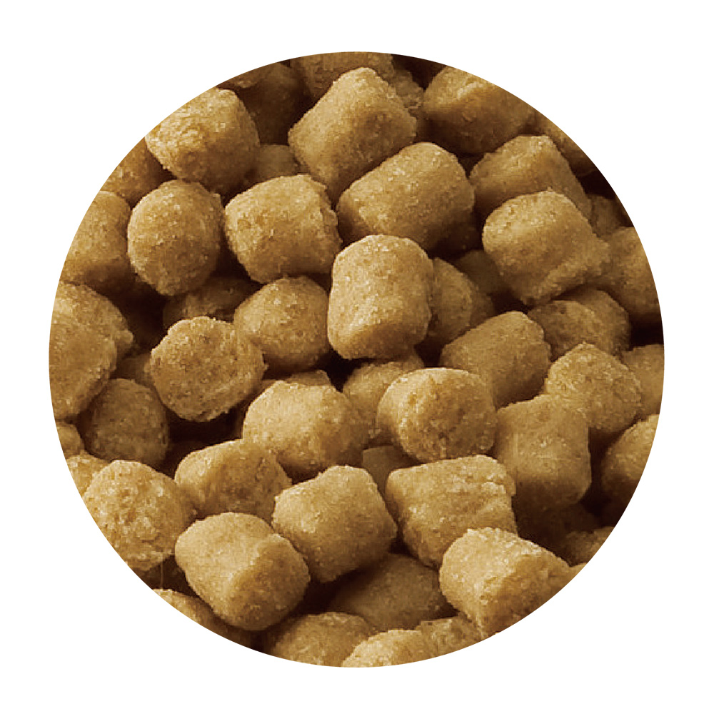 スタイルズ<br>チワワ用　６歳以上用　600g