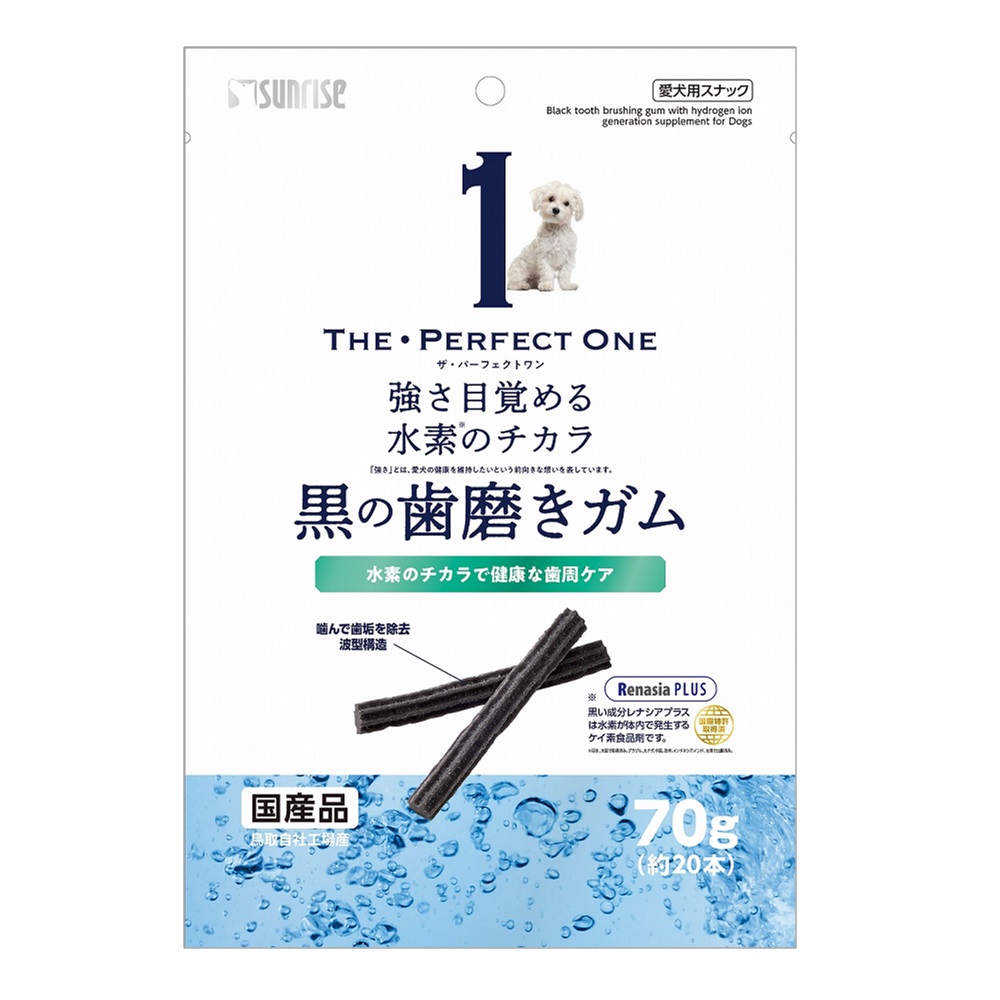 THE・PERFECT ONE<br>黒の歯磨きガム