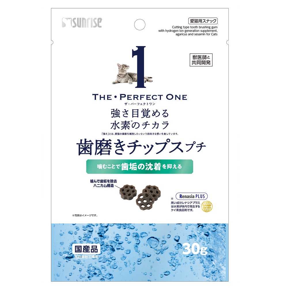 THE・PERFECT ONE<br>　歯磨きチップスプチ