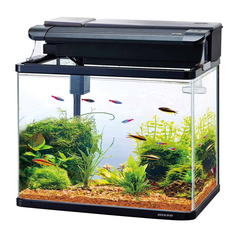 スティングレー450H　LED熱帯魚セット