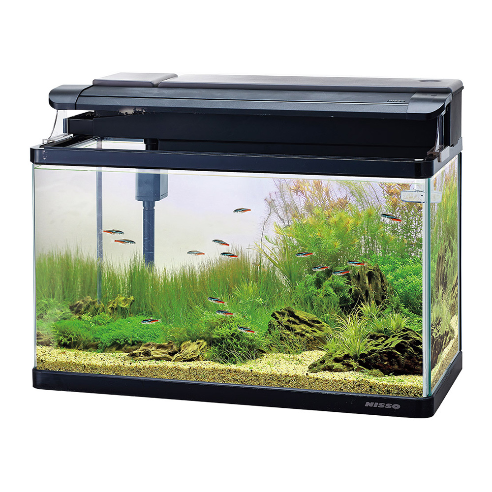 スティングレー600　LED熱帯魚セット