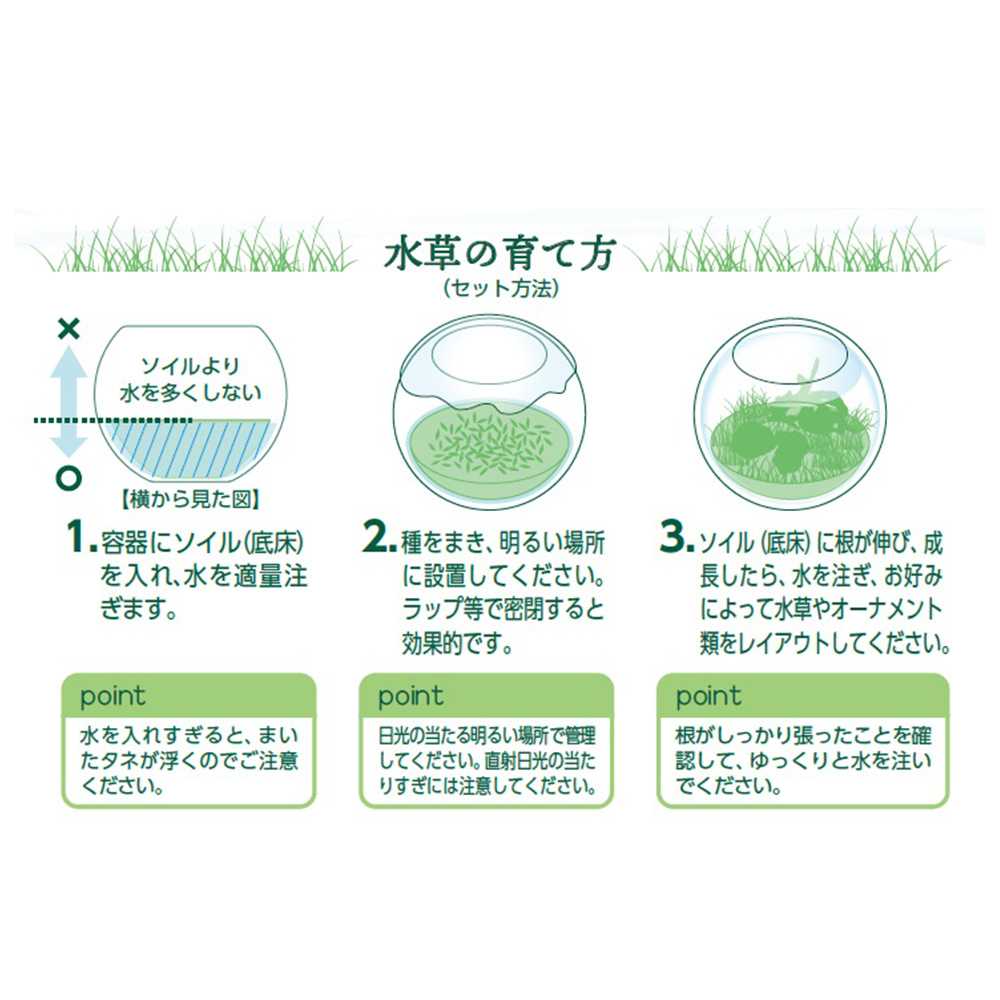 育てる水草の種<br>ストレートヘアー&流木