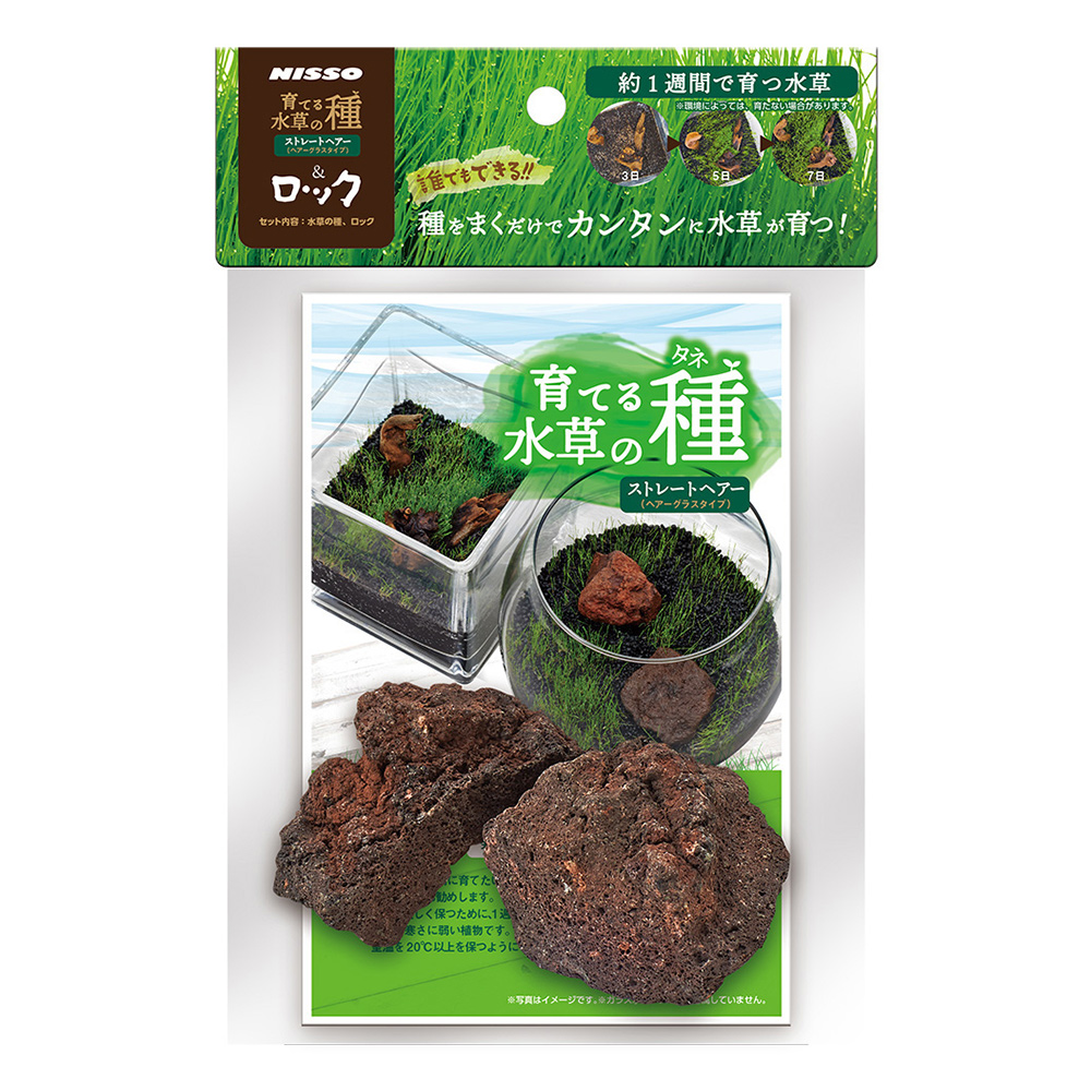 育てる水草の種<br>ストレートヘアー&ロック