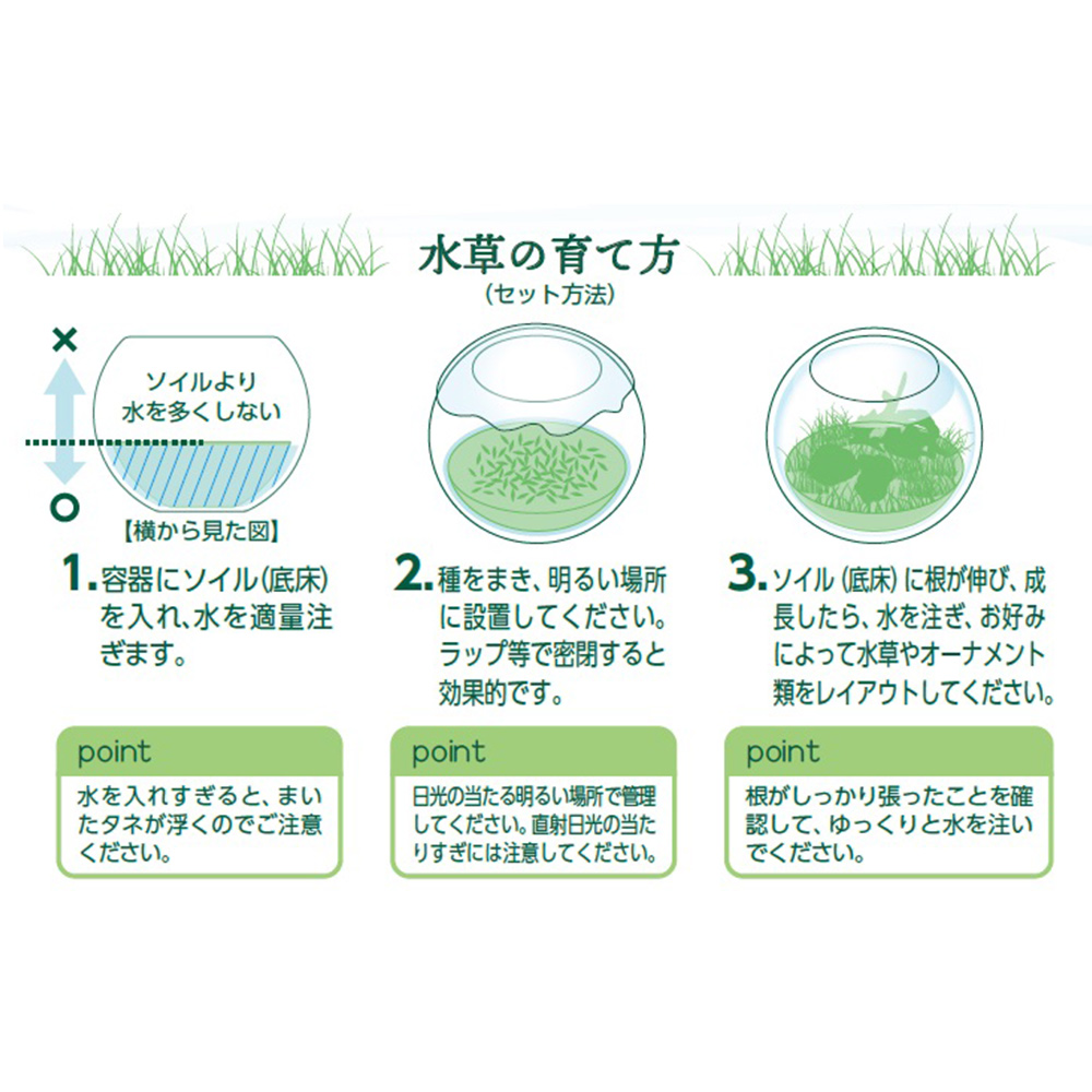 育てる水草の種<br>ストレートヘアー&ロック