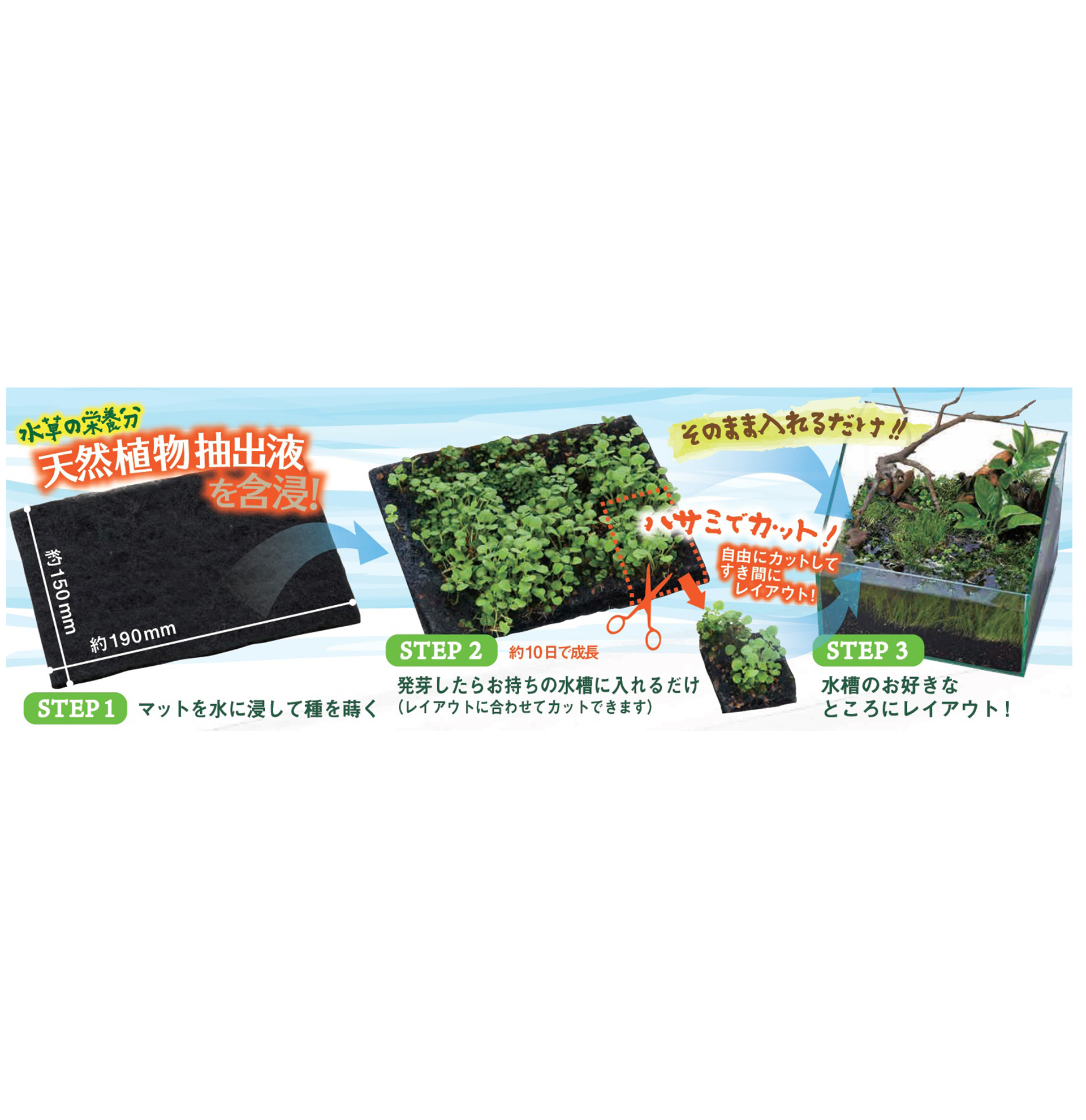 育てる水草の種<br>育成ソフトマットセットGC