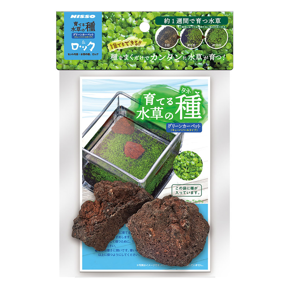 育てる水草の種<br>グリーンカーペット&ロック