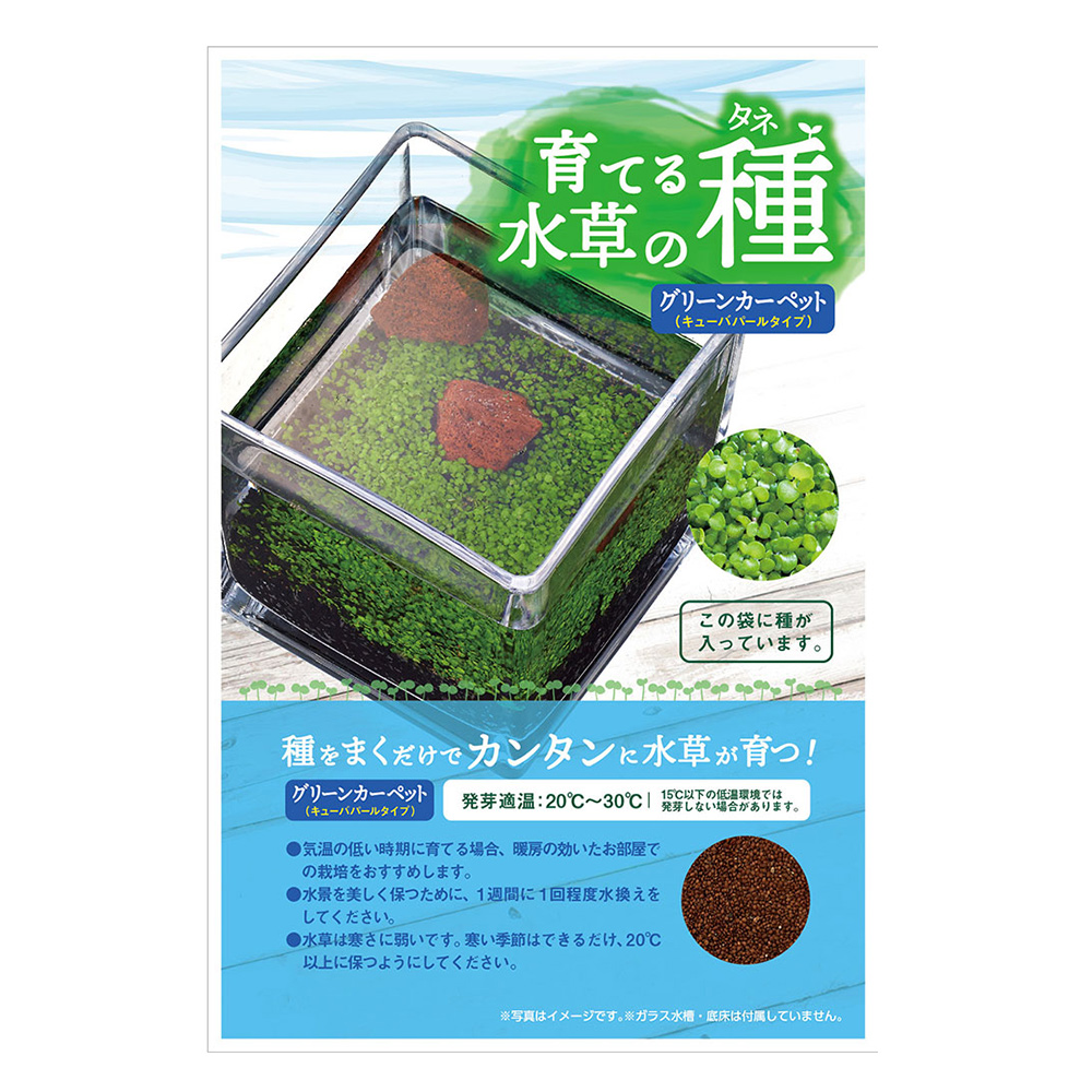 育てる水草の種<br>グリーンカーペット&ロック