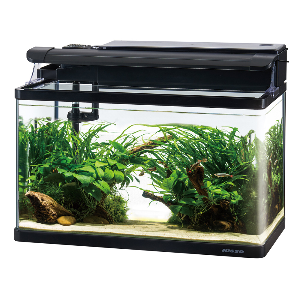 スティングレー600・熱帯魚7点セット