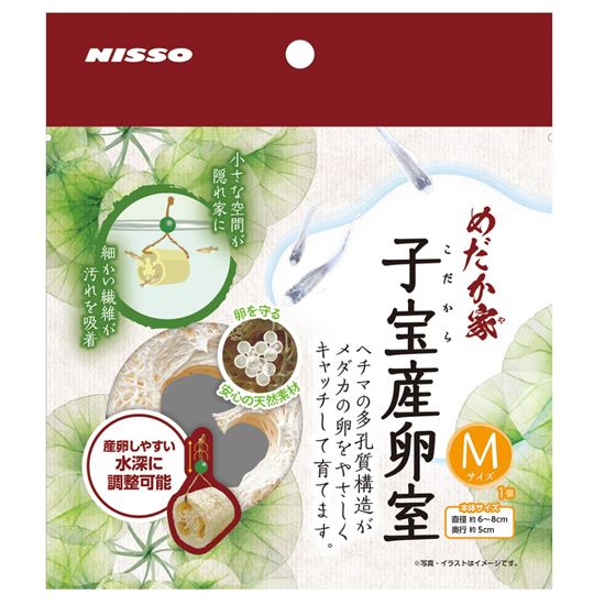 めだか家　子宝産卵室M