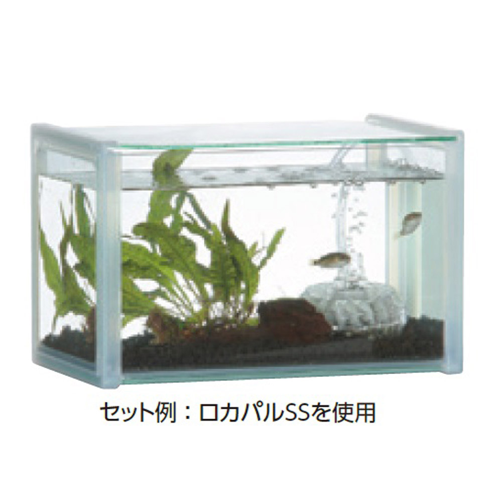 ジオラマガーデン240