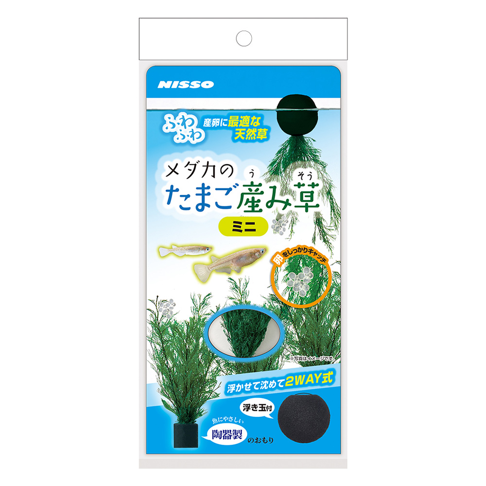 メダカのたまご産み草ミニ