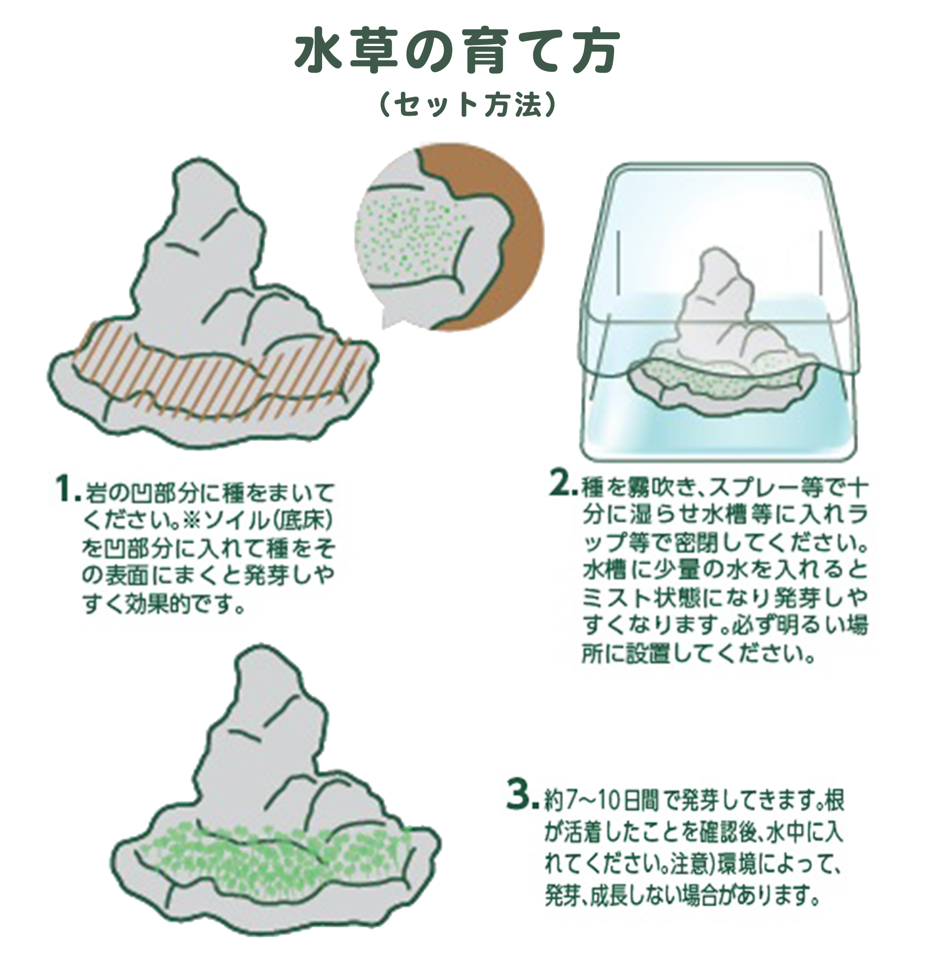 緑景・育てる水草の岩S
