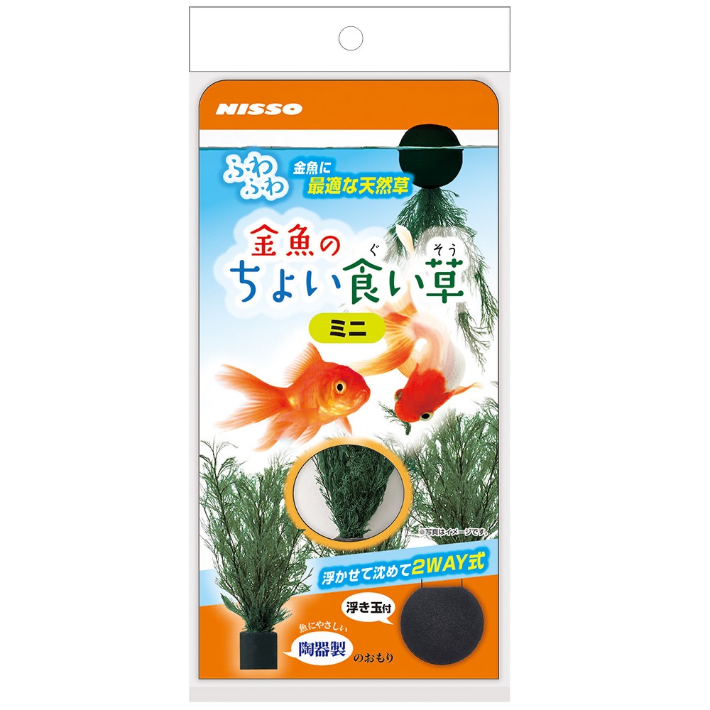 金魚のちょい食い草 （ぐいそう）ミニ
