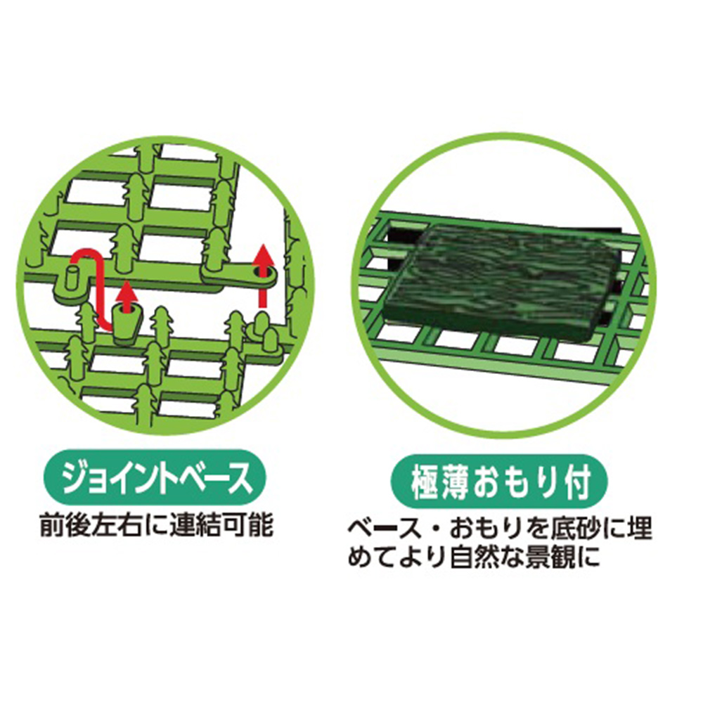 ルミナンスプランツ ナイトM-2