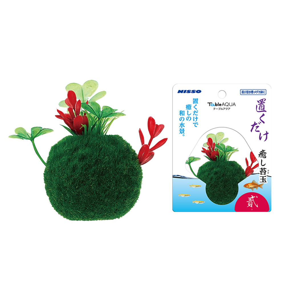 テーブルアクア 置くだけ癒し苔玉　貳(ニ)