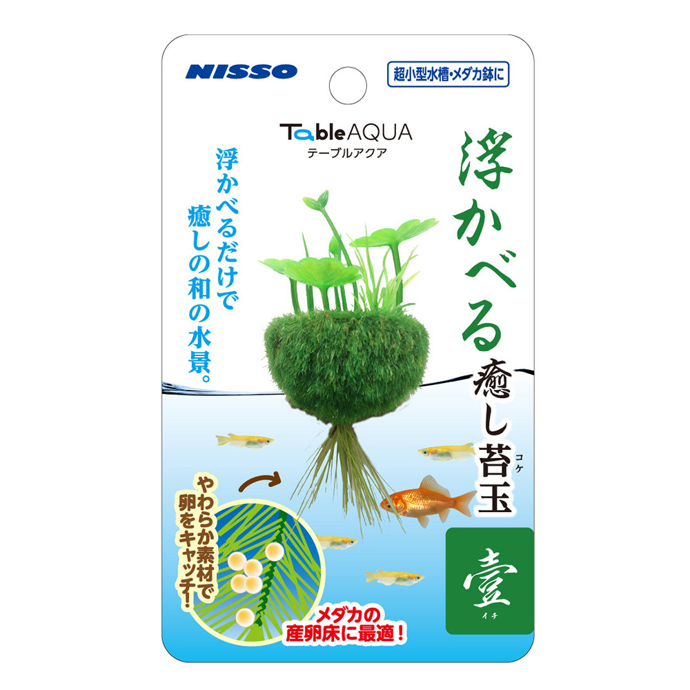 テーブルアクア 浮かべる癒し苔玉　壹(イチ)