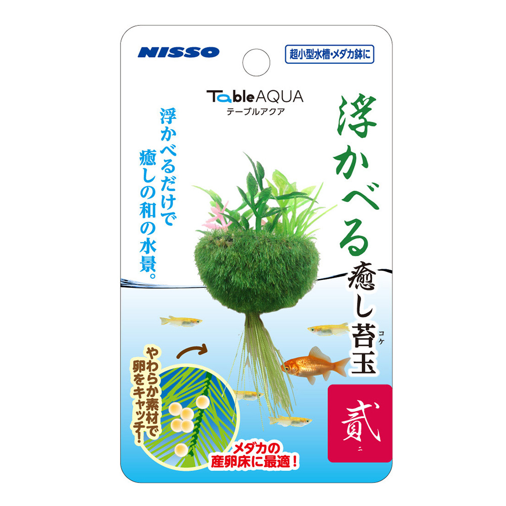 テーブルアクア 浮かべる癒し苔玉　貳(ニ)