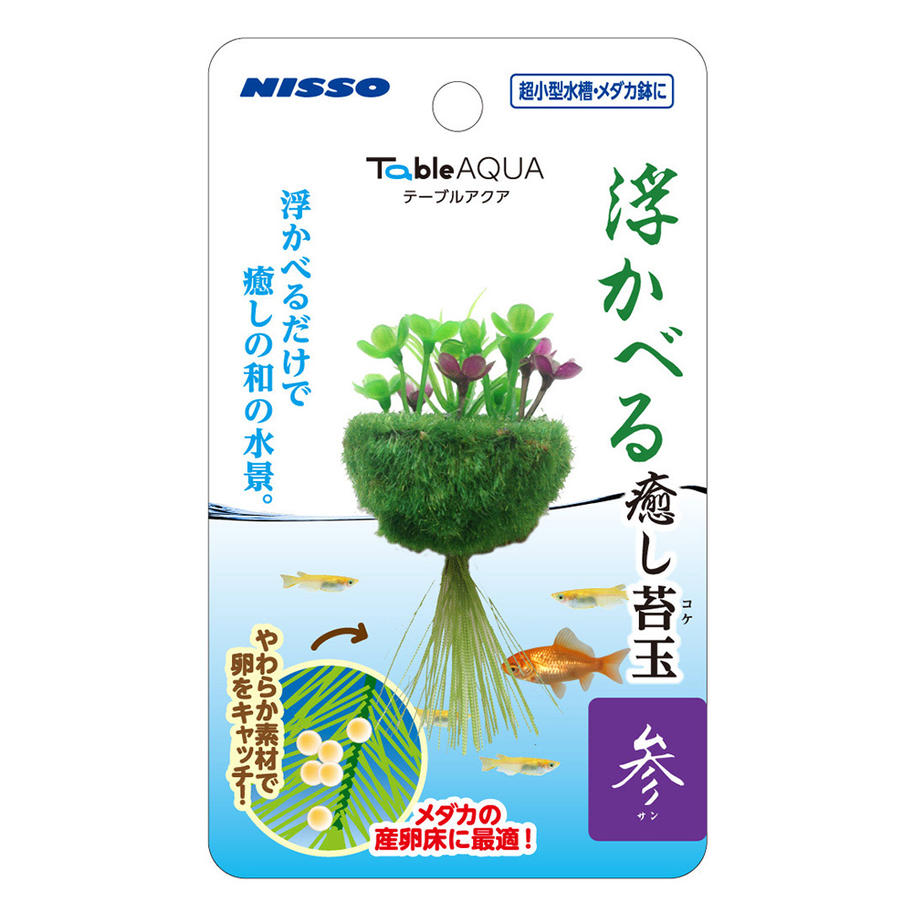 テーブルアクア 浮かべる癒し苔玉　参(サン)