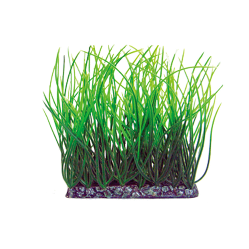 アクアティックプランツ 前景L-3