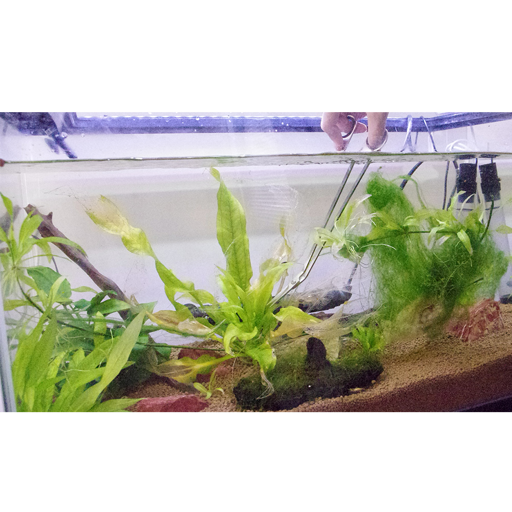 トリミングハサミ
